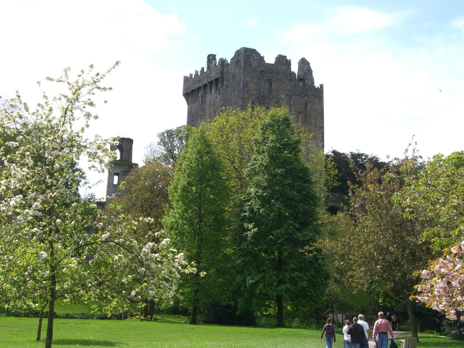 Blarney Castle gardens